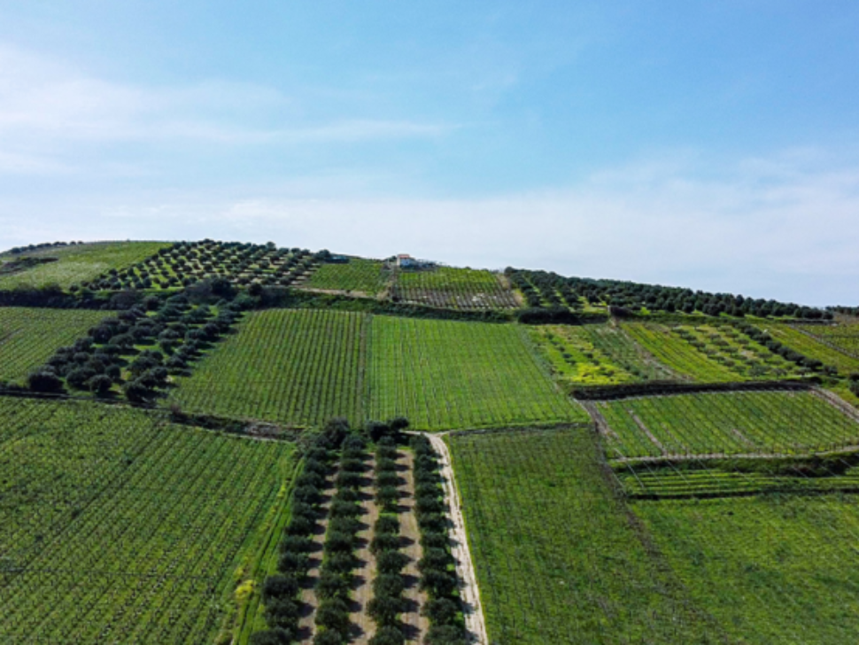 639dde5e06e567adcf5d6e8b15c201cb-768x416