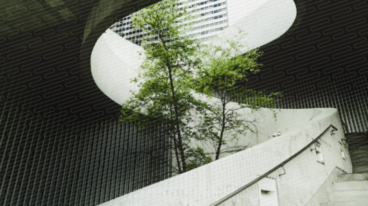 dd552a284ae0ea9236878244eedae6b7-768x416